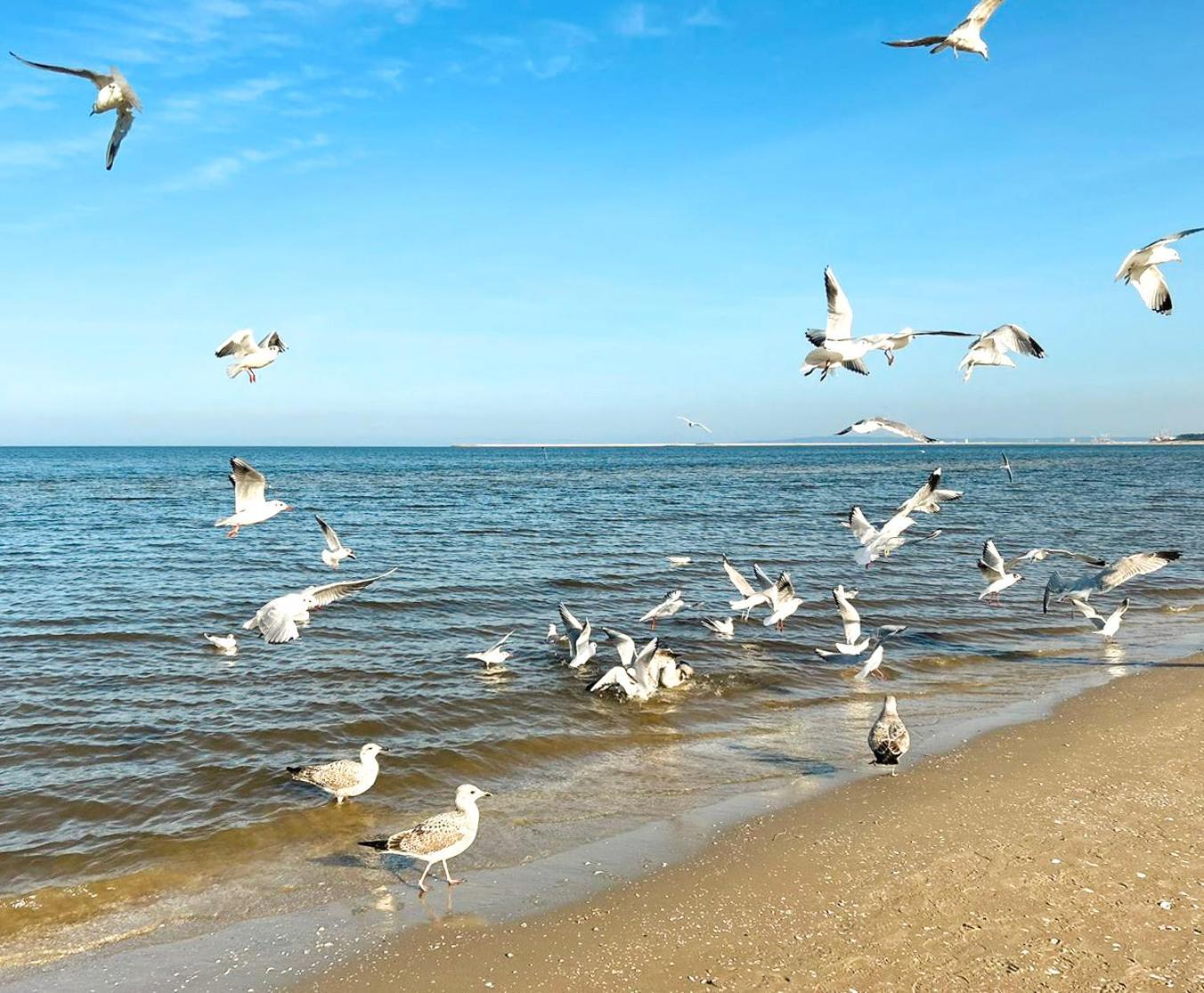 Visit Baltic - Rezydencja Sienkiewicza Rs1.07 Svinoústí Exteriér fotografie